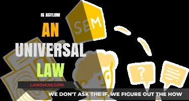 Asylum Laws: Universal Right or Privilege?