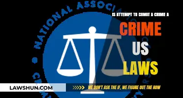 Is Attempting to Commit a Crime Illegal Under U.S. Law?
