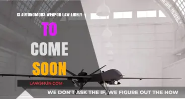 The Future of Autonomous Weapons: Legal Frameworks on the Horizon?