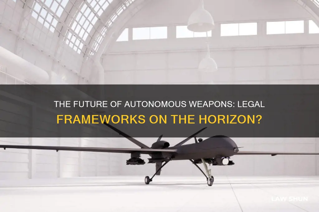 is autonomous weapon law likely to come soon