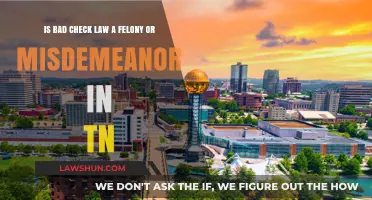 Bad Check Law in TN: Felony or Misdemeanor Explained