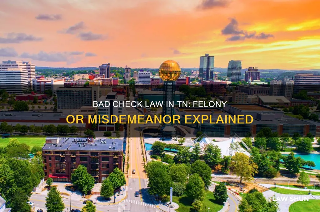 is bad check law a felony or misdemeanor in tn