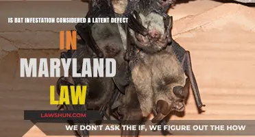 Bat Infestation: Latent Defect Under Maryland Law?