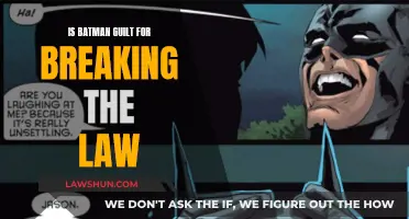 Batman's Law-Breaking: Justified or Criminal Guilt?