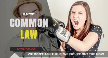 Battery: Common Law and its Modern Applications