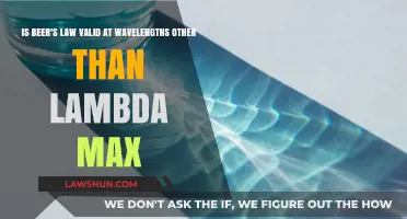 Exploring Beer's Law Validity Beyond Lambda Max Wavelengths