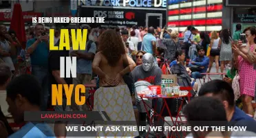 Naked in NYC: What's the Legal Take?