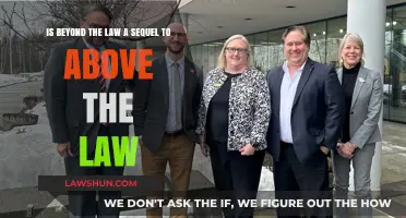 Beyond the Law: Sequel or Standalone? Unraveling the Above the Law Mystery