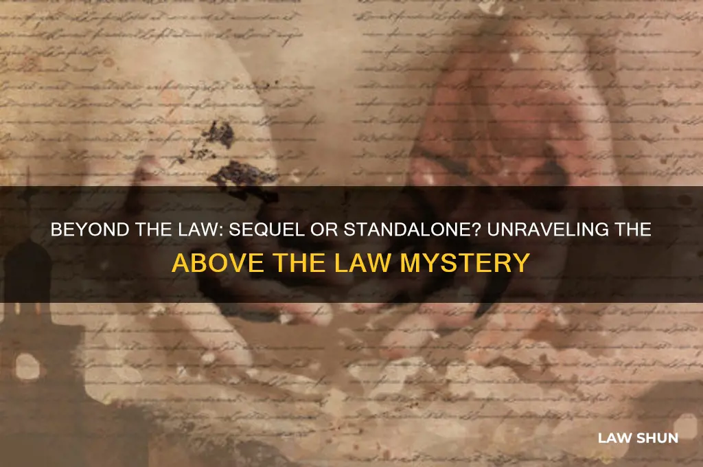is beyond the law a sequel to above the law
