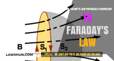 Bio-Savart vs Faraday: Are These Electromagnetic Laws Physically Equivalent?