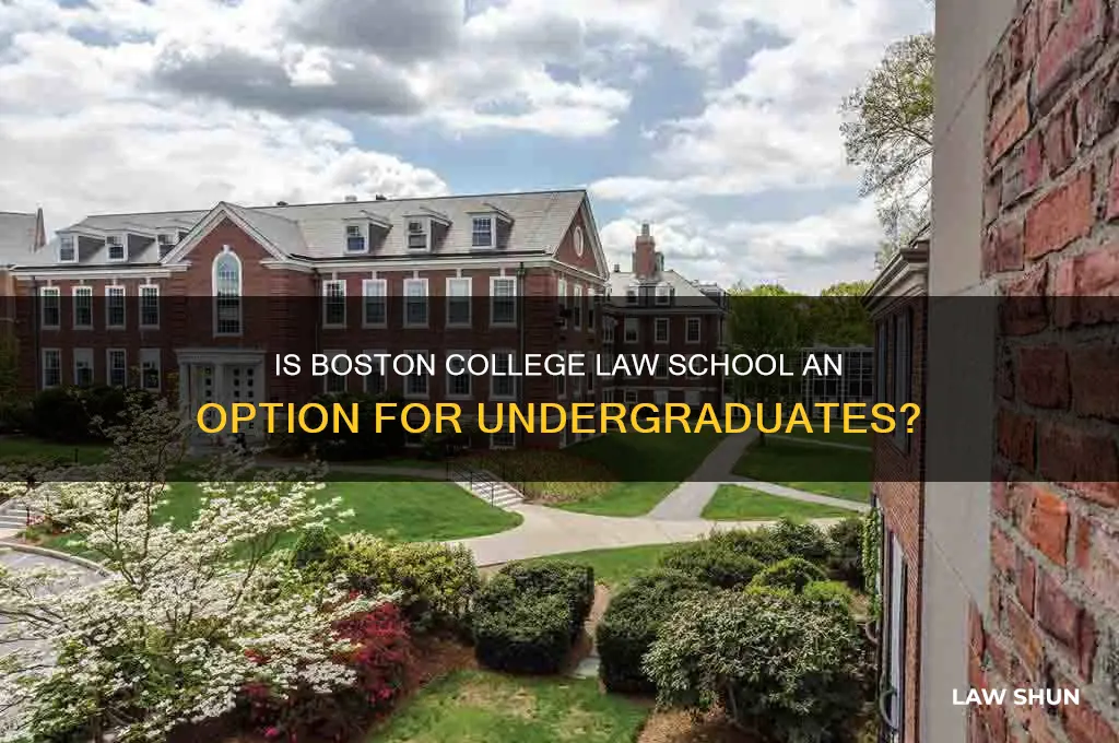 is boston college law for undergrad students