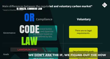 Brazil's Legal System: Code Law or Common Law?