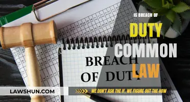 Common Law: Understanding Breach of Duty