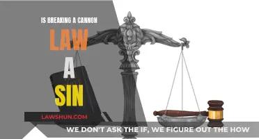 Catholics and Cannon Law: What Constitutes a Sin?