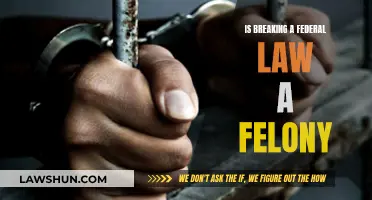 Federal Law Breaking: Felony or Misdemeanor?