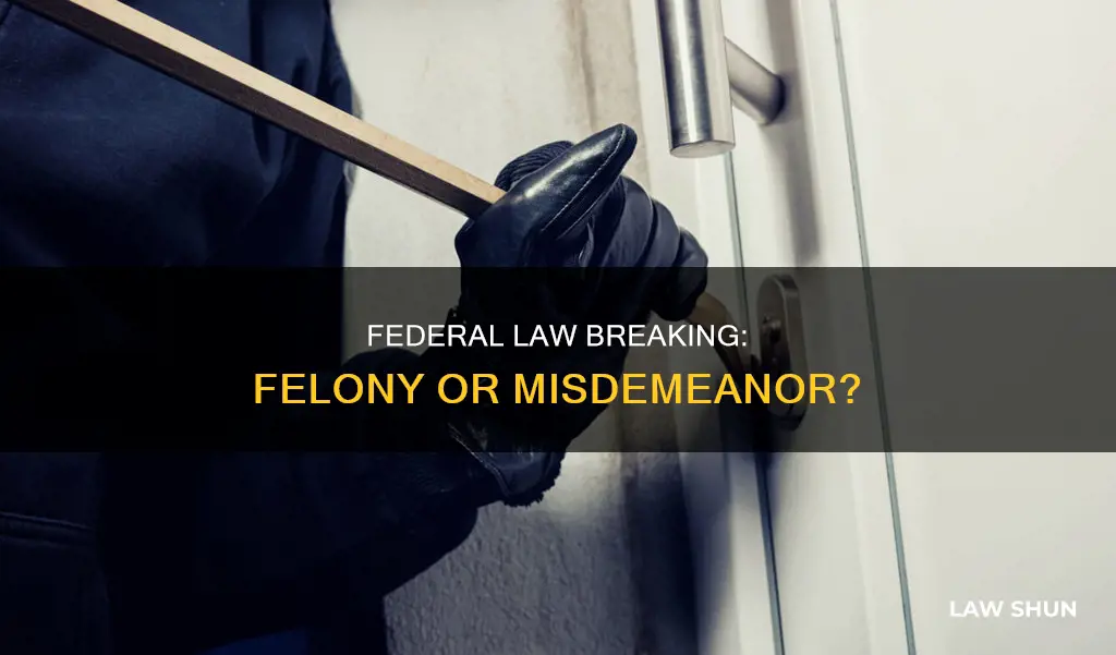 is breaking a federal law a felony