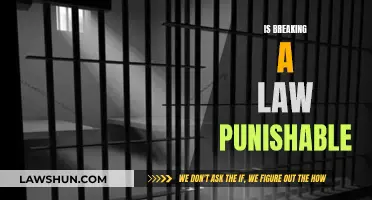 Breaking Laws: Punishable or Not?