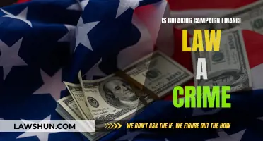 Campaign Finance Law: Criminal Consequences?