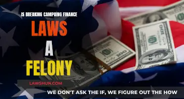 Campaign Finance Laws: Felony or Misdemeanor?