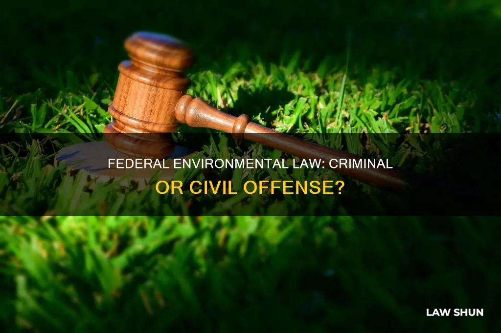 is breaking federal environmentl law a crime