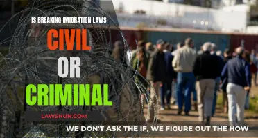 Immigration Law: Civil, Criminal, or Both?