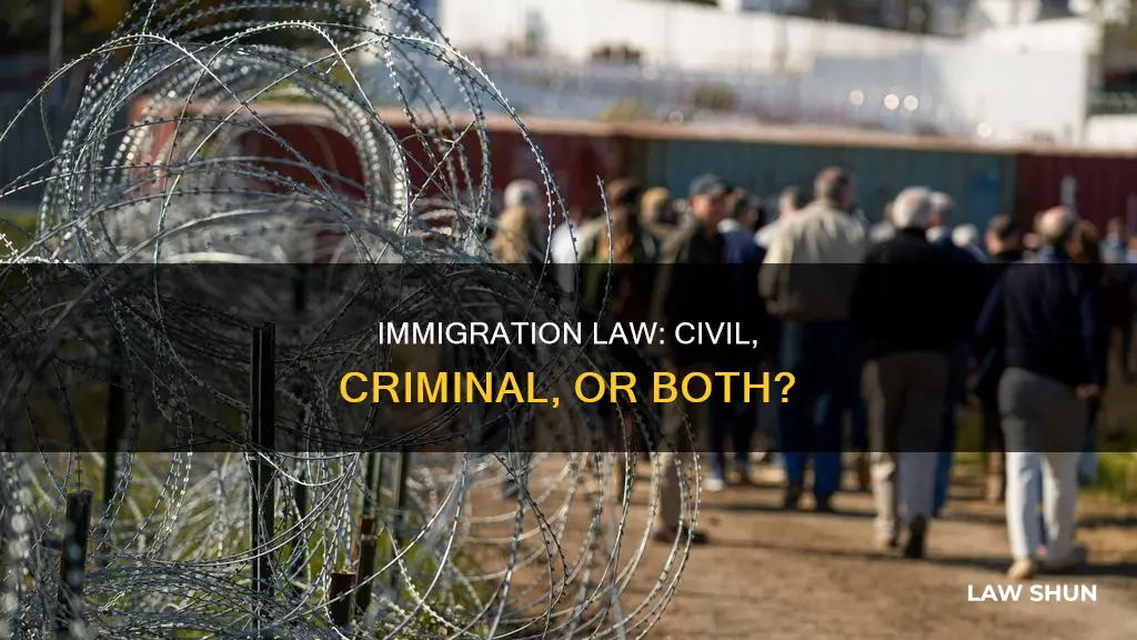 is breaking imigration laws civil or criminal