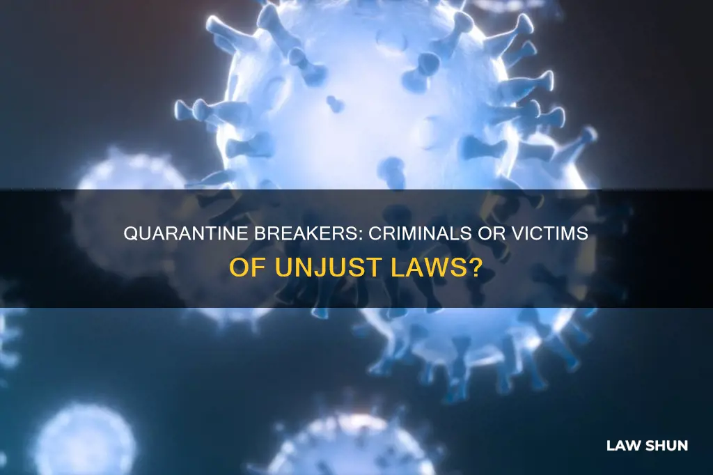 is breaking quarantine against the law