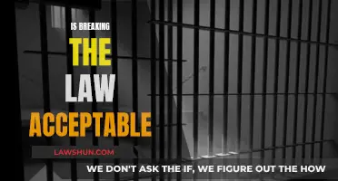 When is Breaking the Law Justified?