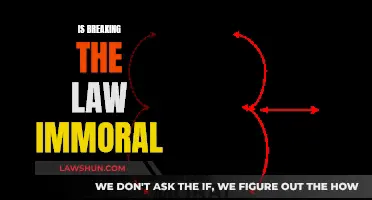 Laws, Morality, and Ethics: What's the Verdict?