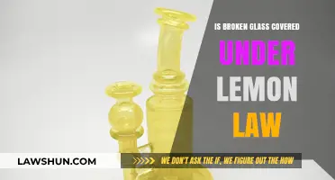 Lemon Law and Broken Glass: What’s Covered in Auto Warranties?
