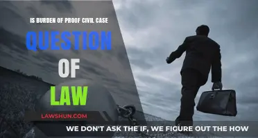 Burden of Proof: Civil Cases and Law