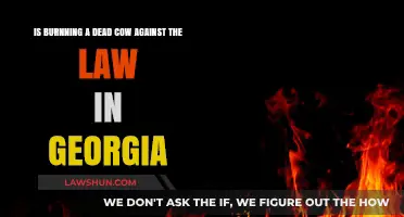 Is Burning a Dead Cow Legal in Georgia? Understanding the Law