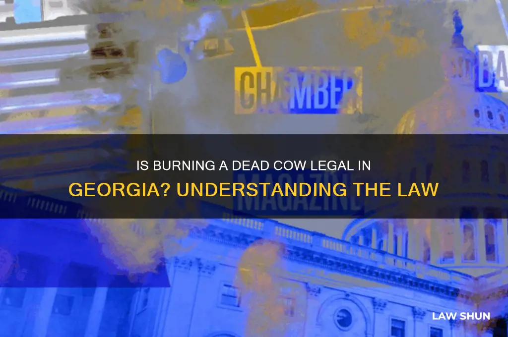 is burnning a dead cow against the law in georgia