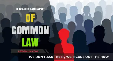 Bytander Cases: Common Law's Influence