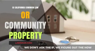 California's Property Laws: Community or Common?