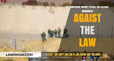 Is Funding for Illegal Migrants Breaking the Law? A Legal Analysis