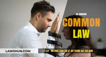Common-Law Relationships in Canada: What's the Deal?