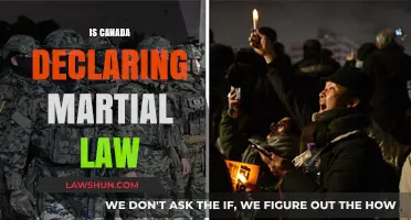 Martial Law in Canada: What's the Truth?