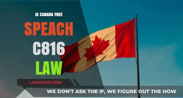 Canada's C-16 Law: Free Speech or Censorship?