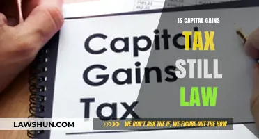 Capital Gains Tax: Is It Still Law?