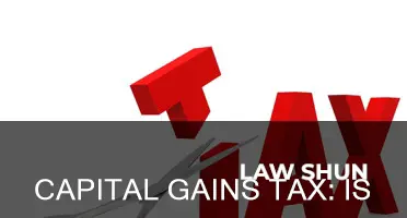 is capital gains tax still law