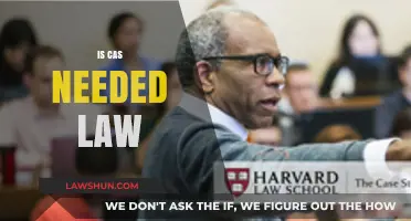 CAS: A Necessary Evil for Law?