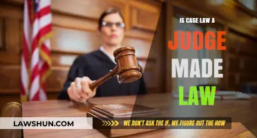 Case Law and Judge-Made Law: What's the Connection?