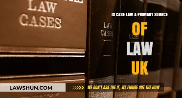 Case Law: A Primary UK Law Source?