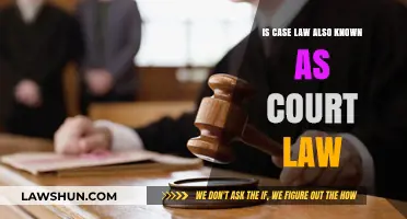 Case Law vs. Court Law: What's the Difference?