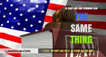 Case Law vs Common Law: What's the Difference?