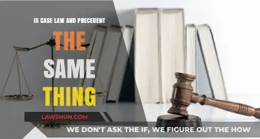 Case Law and Precedent: Are They Synonymous?