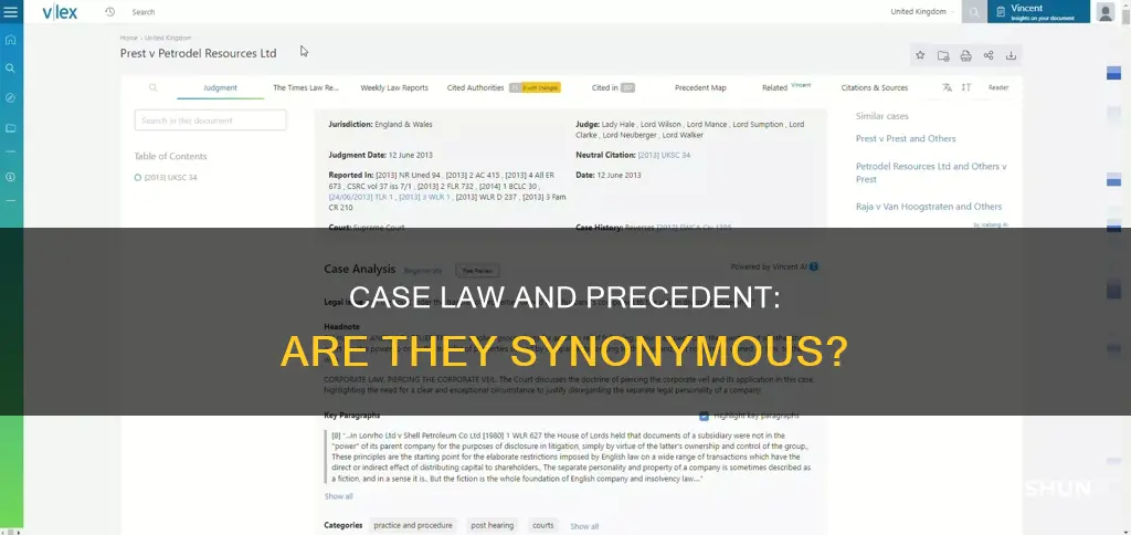 is case law and precedent the same thing