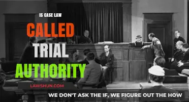 Case Law: Trial Authority Explained