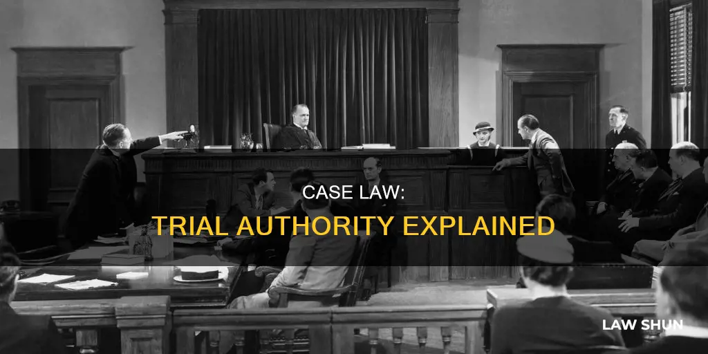 is case law called trial authority